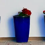 빌라 A Sul *